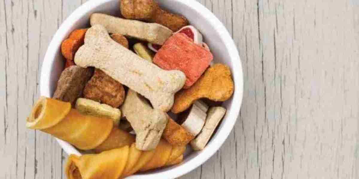 Pet Food Market Set to Grow Rapidly as Pet Owners Prioritize Quality Over Price