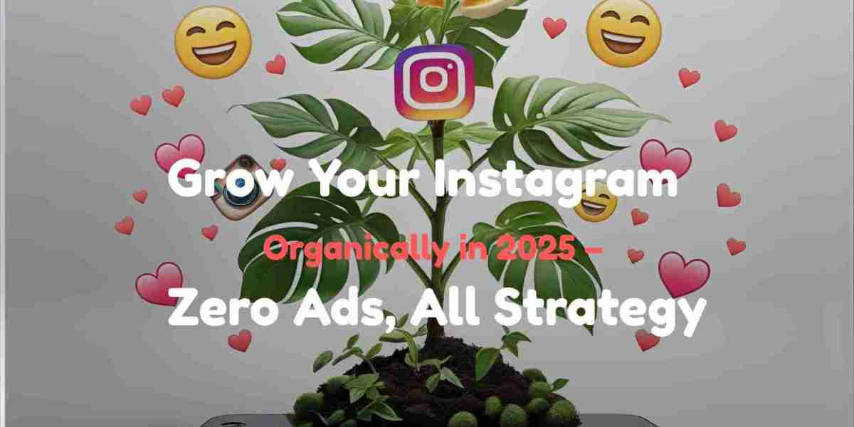 Grow Your Instagram Organically in 2025 – Zero Ads, All Strategy