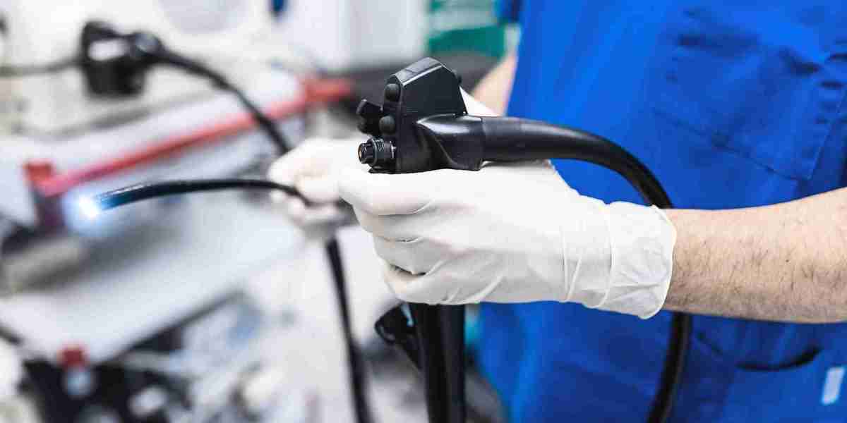 Veterinary Endoscope Market Experiences Growth with Expansion of Veterinary Services in Rural and Urban Areas