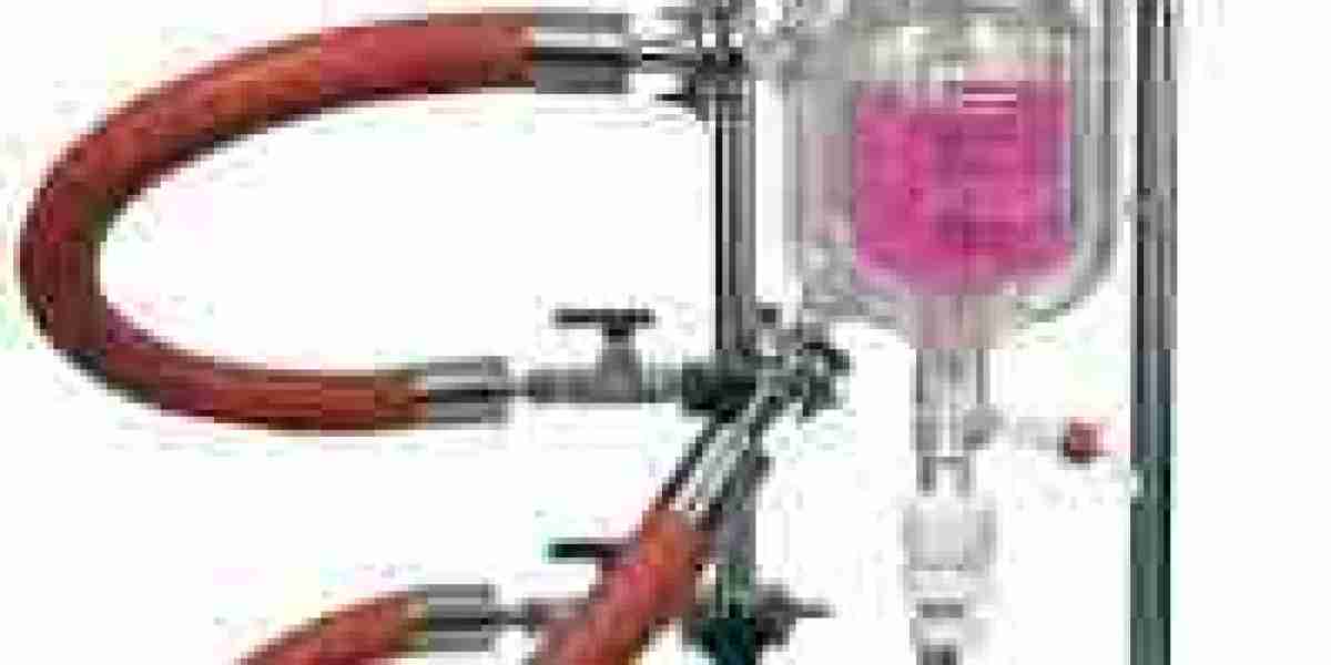 Glass Reactor Market Competitive Analysis: Key Players, Strategies, and Industry Dynamics
