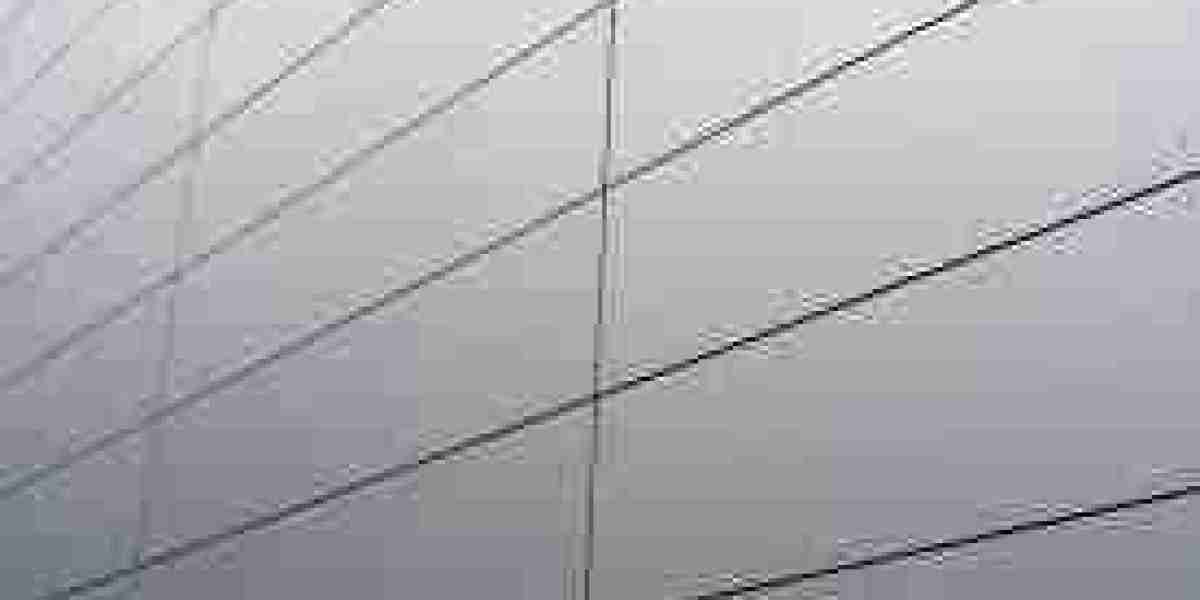 Rainscreen Cladding Market: Outlook for Sustainable Growth and Global Expansion