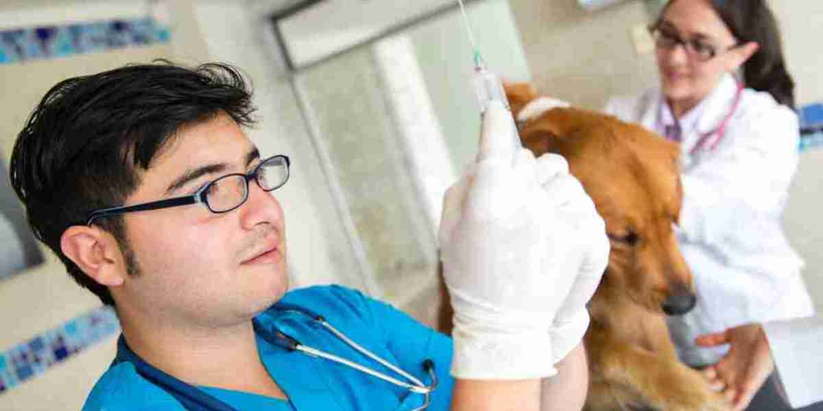 Veterinary Vaccines Market Anticipates Higher Demand Amid Rising Veterinary Healthcare Awareness and Expenditure