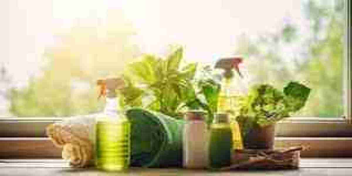 Surface Disinfectant Chemicals Market Regulatory Environment Encourages Sustainable Product Development