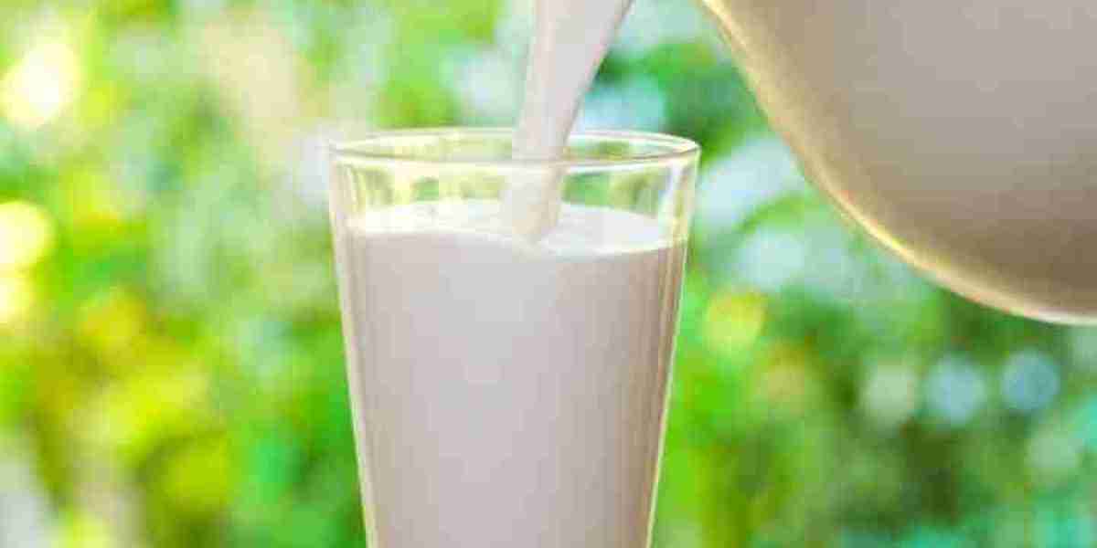 Technological Advancements in Dairy Farming Boost Supply in A2 Milk Market