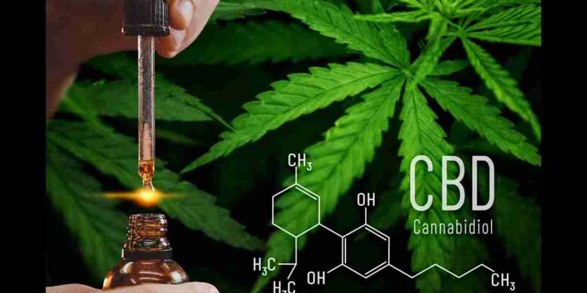 CBD Vape Juice Market Experiences Key Developments Driving Significant Growth and Innovation Worldwide Today