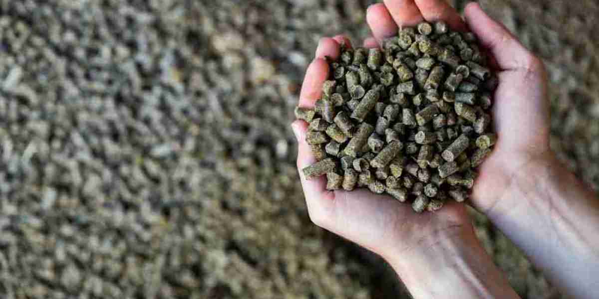 Rapeseed Meal Market Influenced by Trade Policies Demand Trends and Sustainability Initiatives Globally