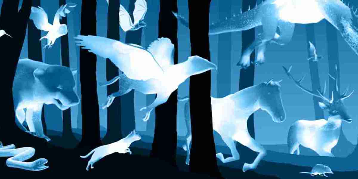 Harry Potter Patronus Insights – Unlock Hidden Meanings