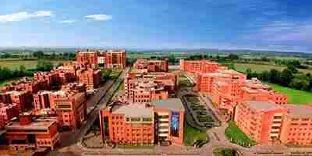 What are the Characteristics of the Top 10 Colleges in Bareilly?