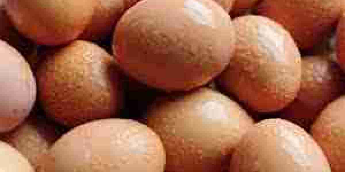 Frozen Eggs Market Forecast: Projected Growth Trends and Opportunities Over the Next Decade
