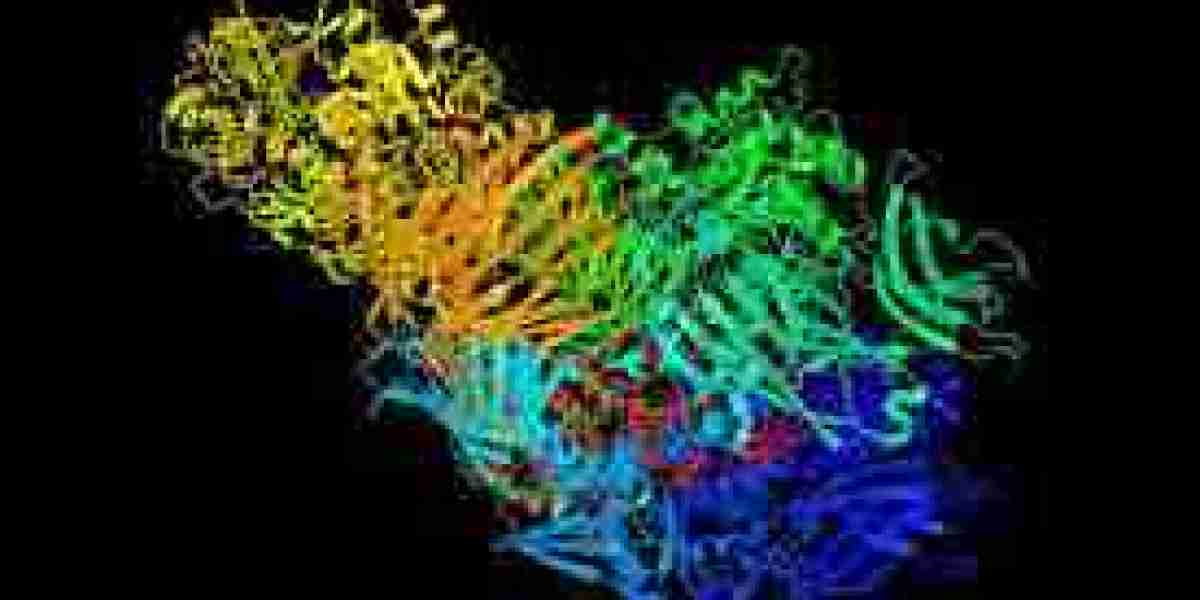 Lactase Market Competitive Analysis: Key Players and Strategic Market Dynamics