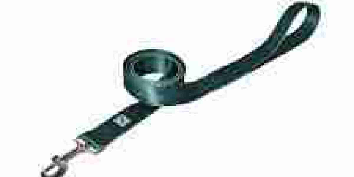 Dog Leash Manufacturer Tallfly.net: Trusted Designs for Active and Reliable Dog Handling