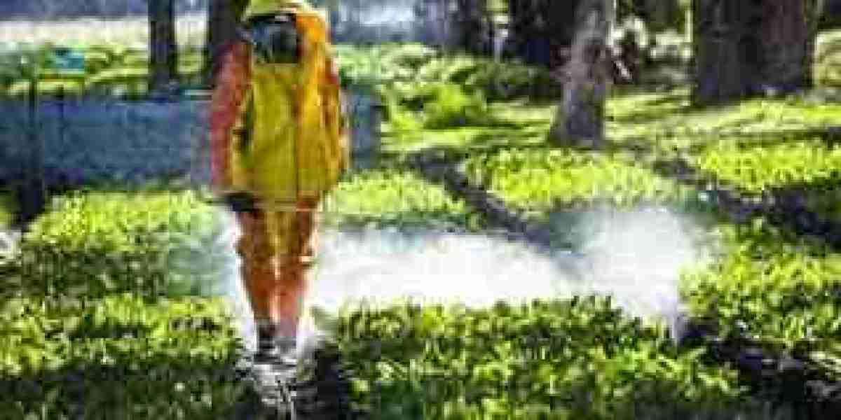 Agricultural Fumigant Market Benefits From Advances In Soil Treatment Techniques