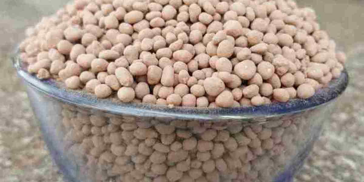 Silicon Fertilizers Market in Hydroponics and Precision Farming