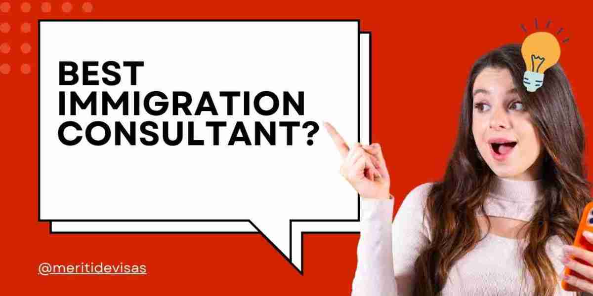 How to Choose the Best Immigration Consultant in Delhi?