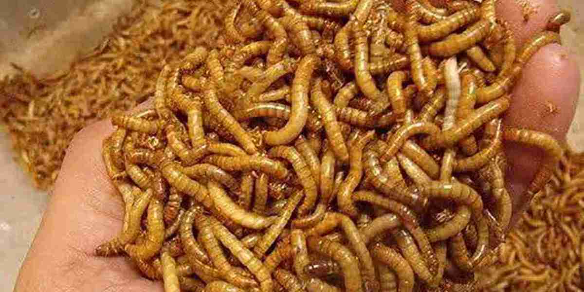 Earthworm Meal Market: Exploring Growth Potential, Emerging Trends, and Future Opportunities Worldwide