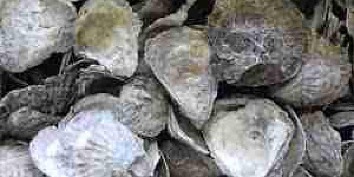 Oyster Shell Calcium Market Dynamics: Interplay of Forces Shaping Growth Trajectory