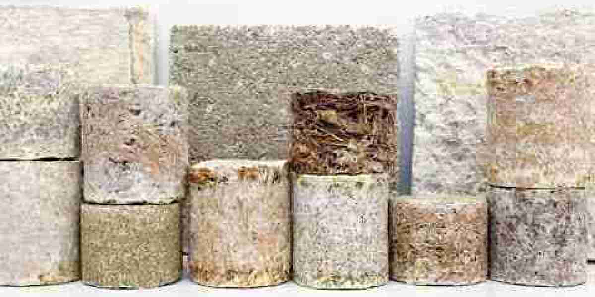 Bio-based Foam Market Impact of Environmental Regulations on Production and Consumer Adoption Rates