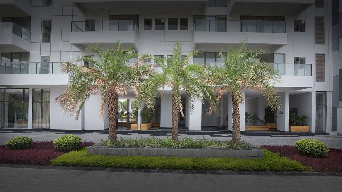 Gurgaon Property Dealer: Reliable Real Estate Solutions in Gurgaon