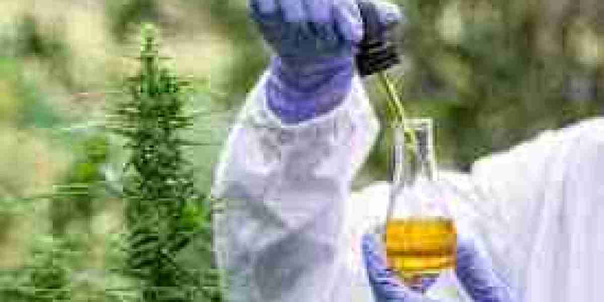 Cannabis Extract Market outlook shows increased spending on research and innovation