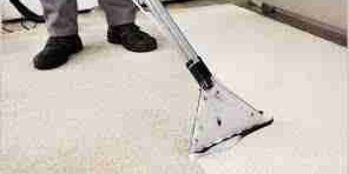 ﻿﻿How Carpet Cleaning Services Protect Your Investment