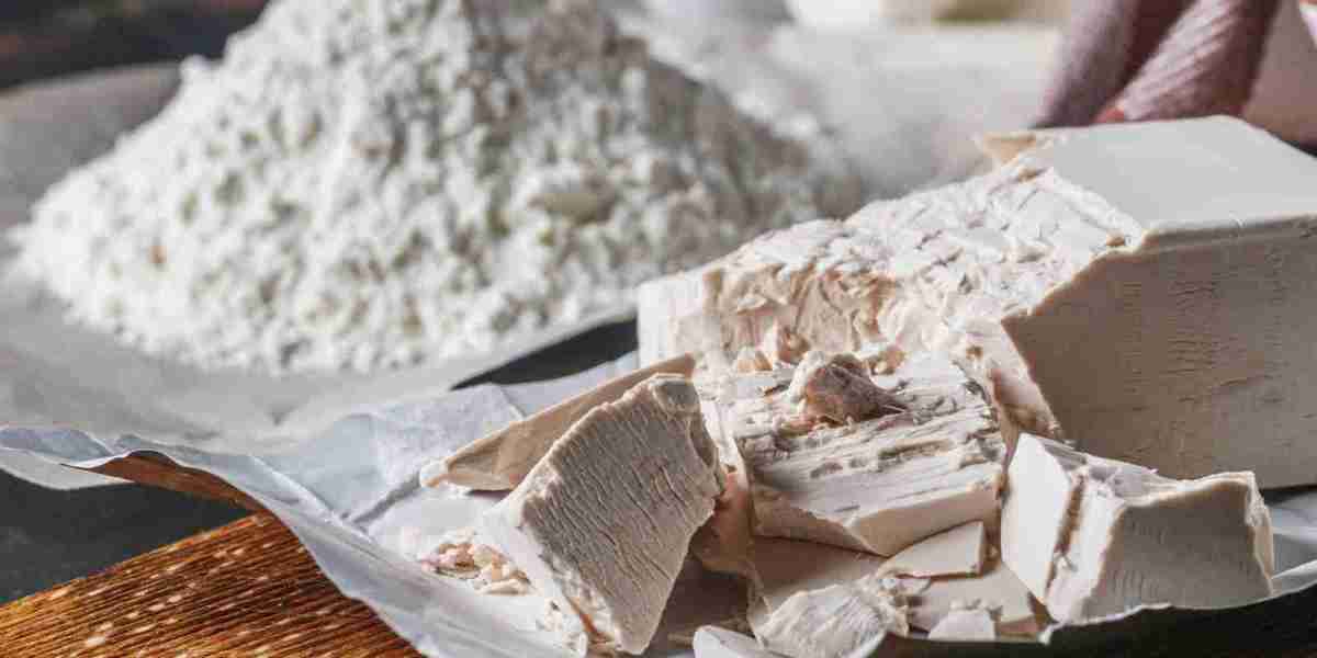 Compressed Yeast Market Scenario: Current Industry Standing and Strategic Landscape