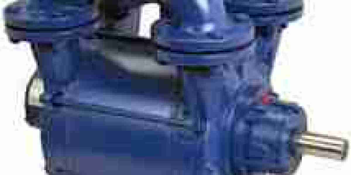 Liquid Ring Vacuum Pumps Market Recent Developments Reshaping Industrial Applications Globally