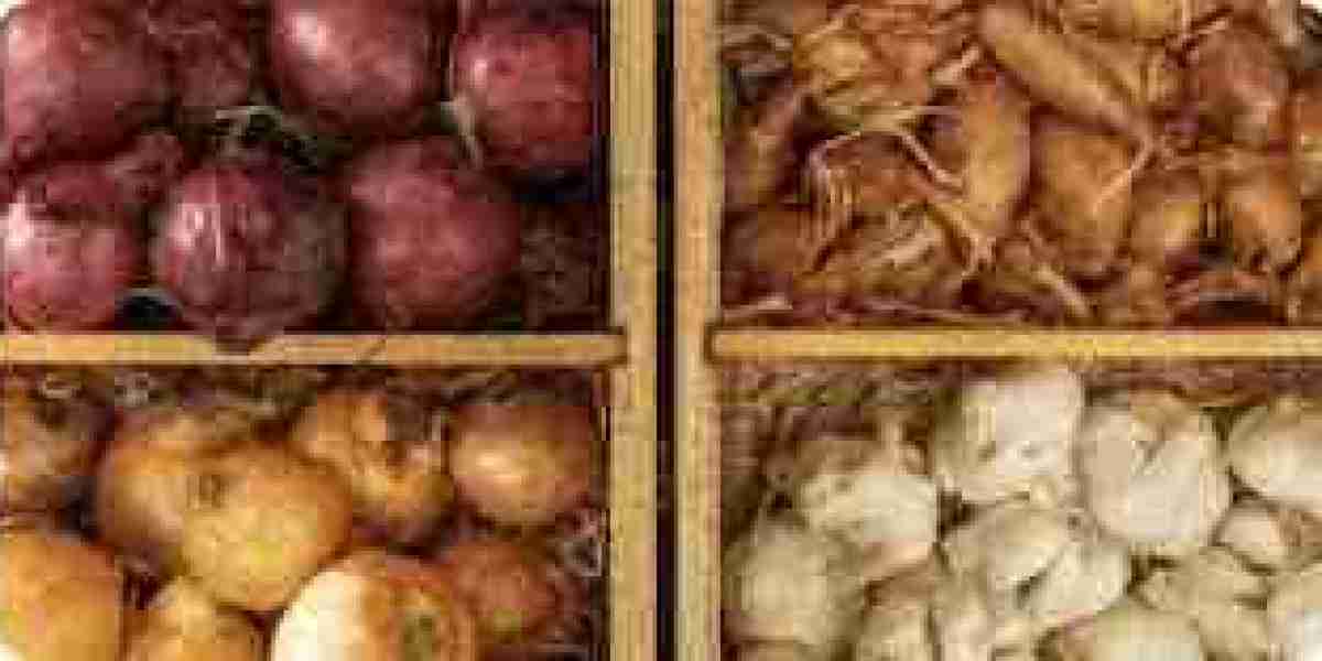 Fructo-Oligosaccharides Market Future Outlook: Trends, Opportunities, and Growth Projections