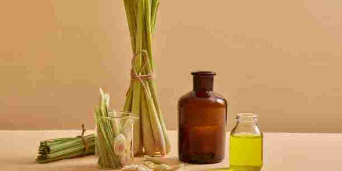 Citronella Oil Market Scenario: Current Landscape and Strategic Industry Positioning