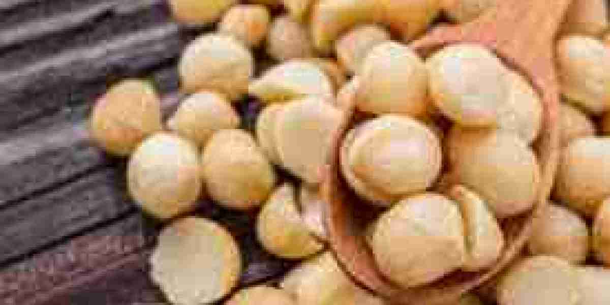 Macadamia Market competitor benchmarking reveals actionable insights to refine growth strategy