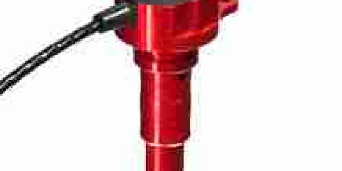 Level Sensor Market Strategic Moves Driving Competitive Edge and Global Reach