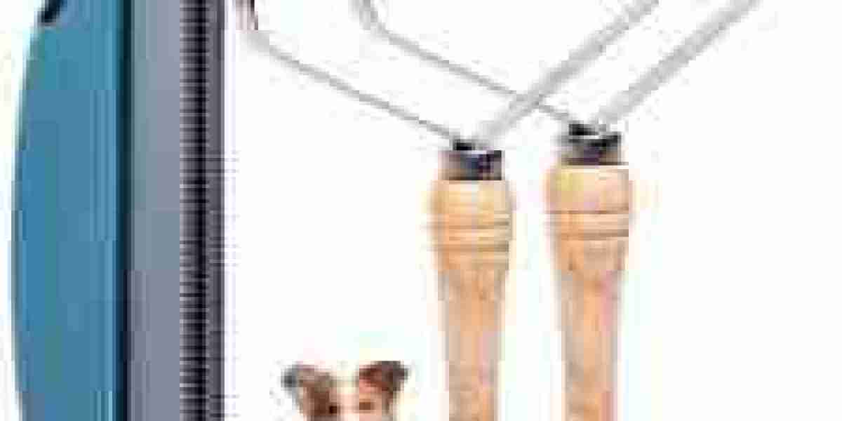 Pet Hair Scraper Manufacturer by Tallfly: Precision Tools for Growing Demand