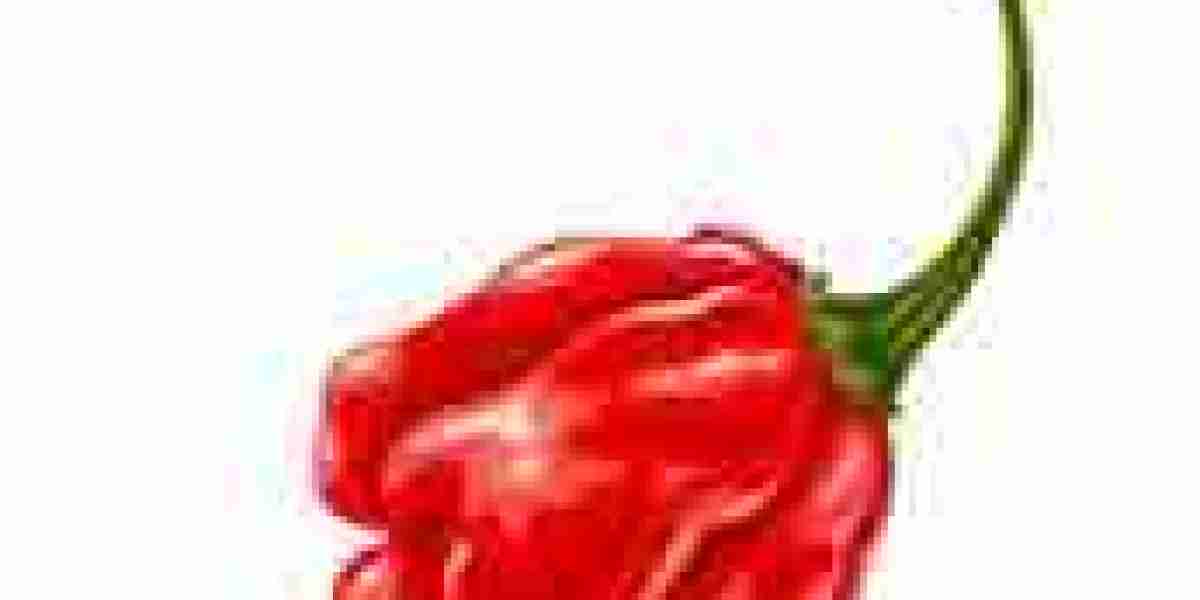 Ghost Pepper Scorpion: The Ultimate Guide to One of the Hottest Peppers in the World