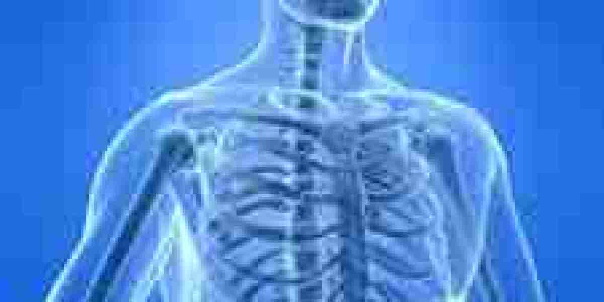 Bone Regeneration Market Landscape: Competitive Analysis of Leading Companies and Disruptive Startups