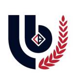 Linkbuffer Studios