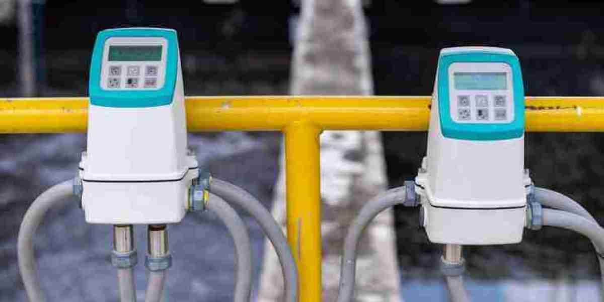 Ultrasonic Flowmeters Market Sees Rapid Developments Driving Precision and Efficiency Globally