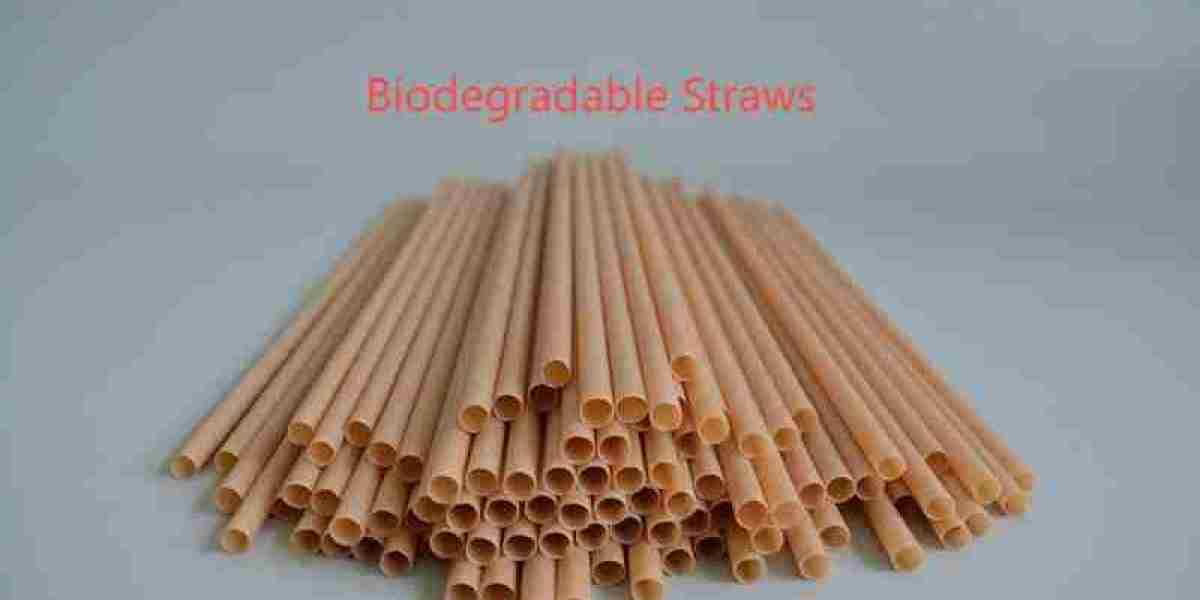 Top Trends in PP Straws for Food and Beverage Providers