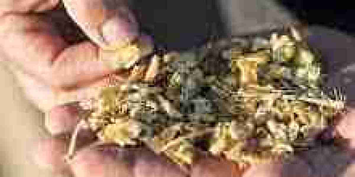 Corn Silage Market expected to grow with increased dairy consumption and meat production globally