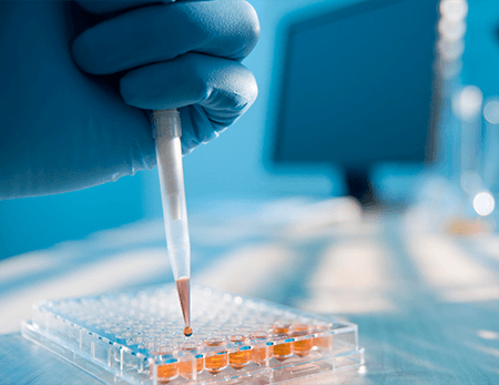 Cell Line Authenticate with Fast & Accurate – DFL