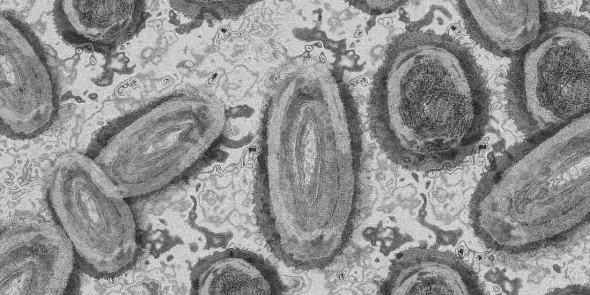 Latin America Infectious Disease Therapeutics Market to Reach USD 18.7 Billion by 2032 Amid Rising Disease Burden and Ad
