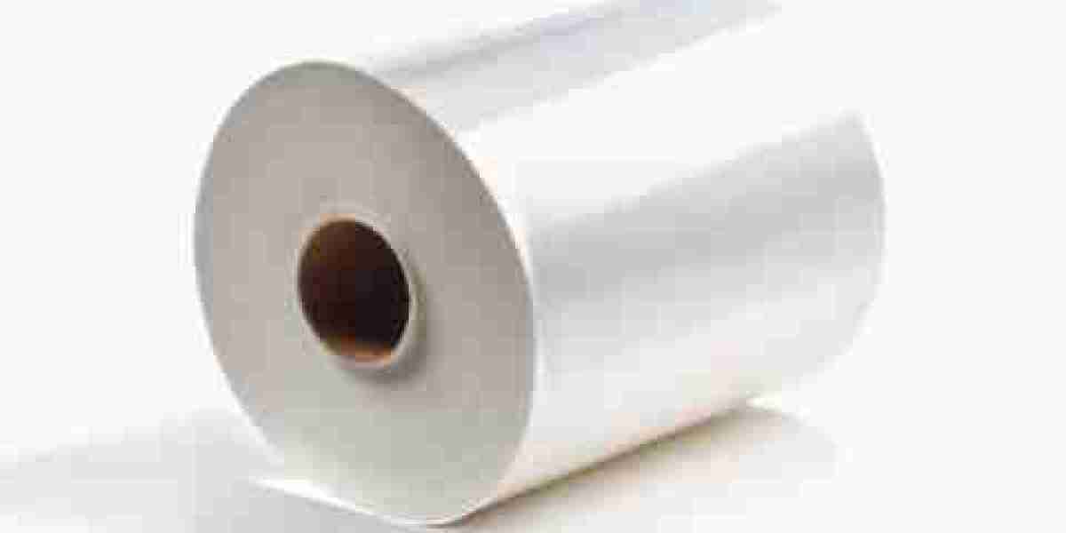 BOPP Film Market Threats From Environmental Regulations and Emerging Packaging Alternatives