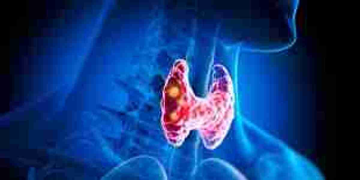 Thyroid Function Test Market Growth Factors and Challenges Shaping Industry Evolution Over Next Decade