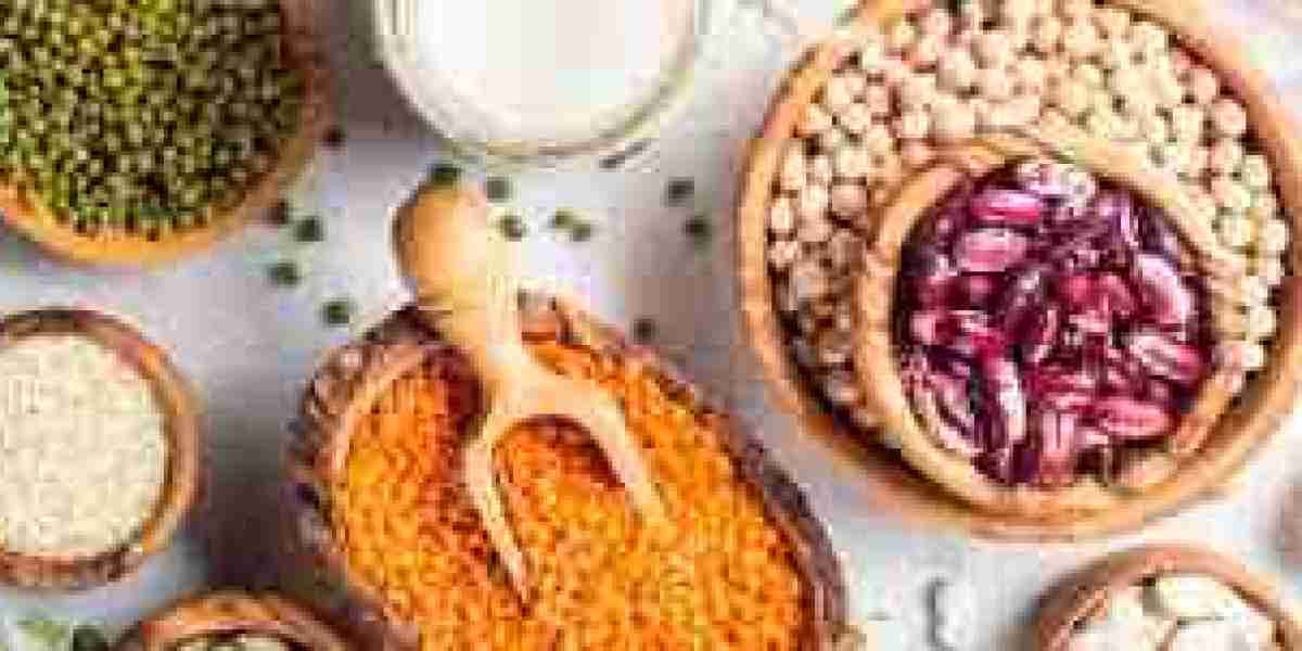 Plant-based Protein Market growing demand in senior nutrition and dietary supplements