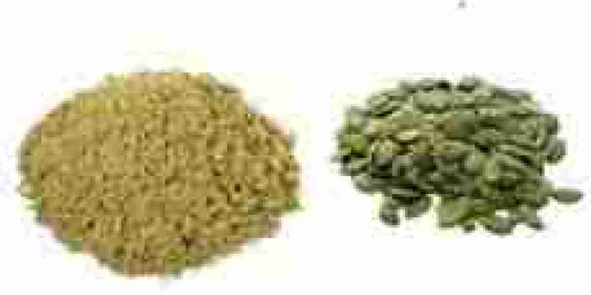 Pumpkin Seed Protein Market competitive landscape including startups and key players