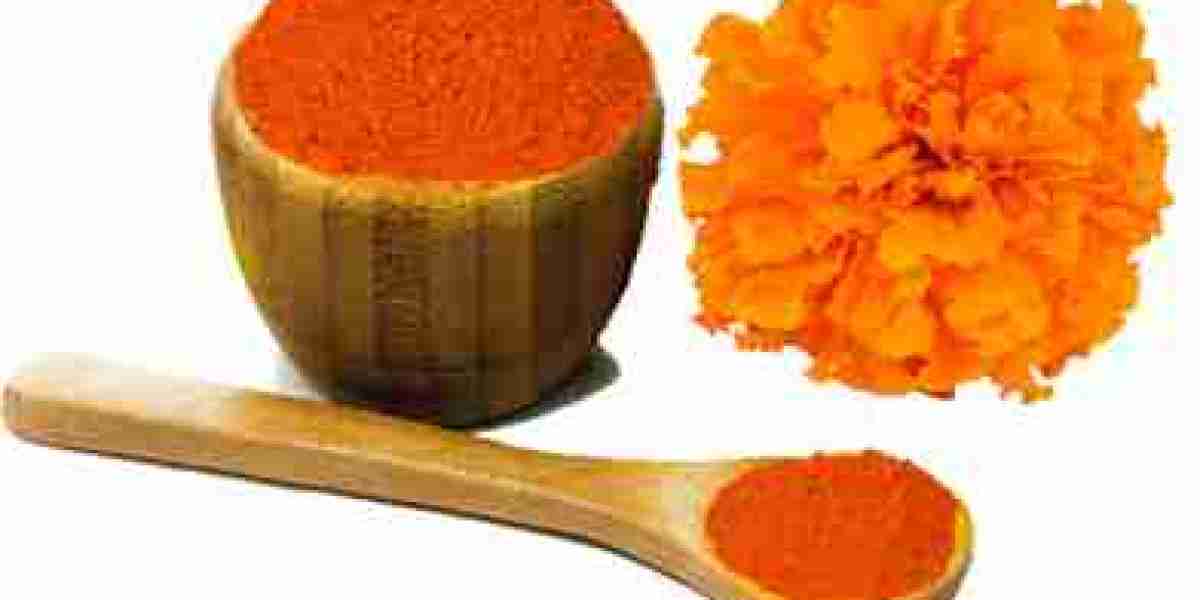 Establishing a Profitable Lutein Powder Manufacturing Plant Report 2025, Project Cost Details