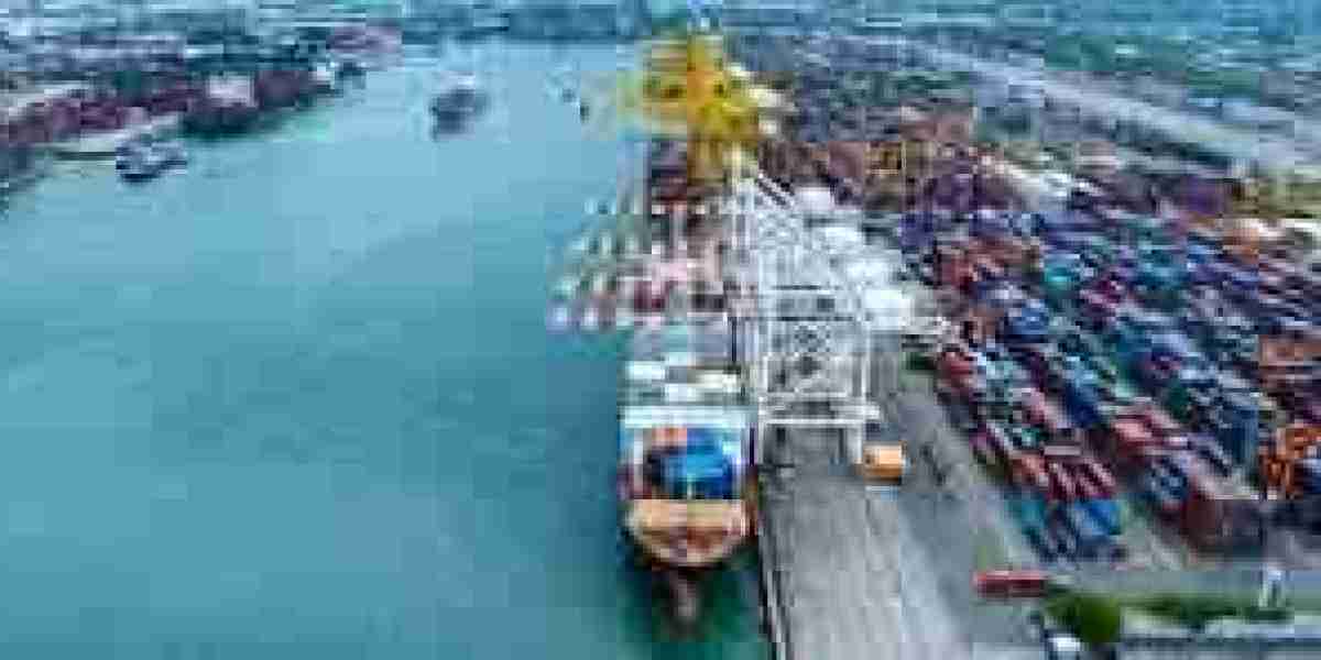 Ocean Freight Forwarding Market digitalization transforming supply chain and customer experience