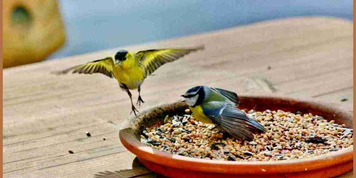 Bird Food Market Inhibitors Impact Growth Through Regulatory Challenges, Health Concerns, and Environmental Factors