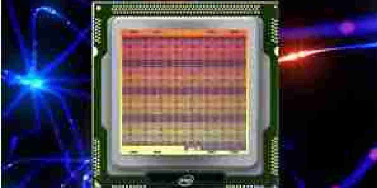 Neuromorphic Chip Market Recent Development Indicators of Next-Gen AI Hardware Breakthroughs