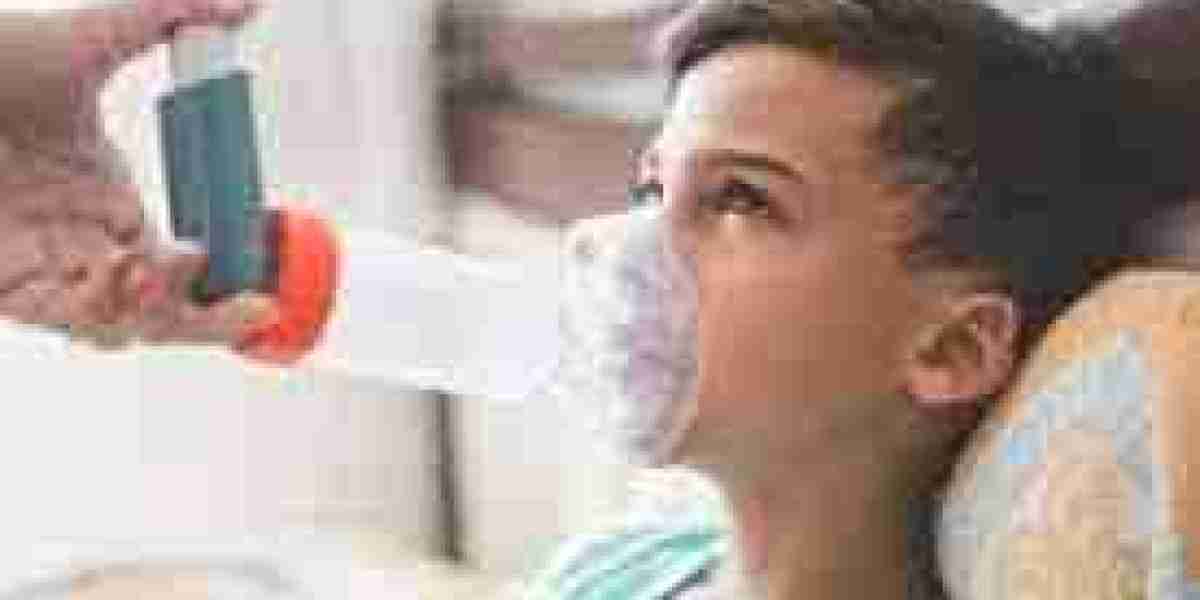 Asthma Spacers Market Share Analysis: Leading Brands and Competitive Landscape in 2025