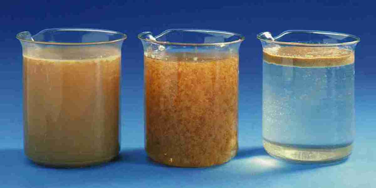 Flocculant and Coagulant Market Role in Municipal Wastewater Treatment Plants