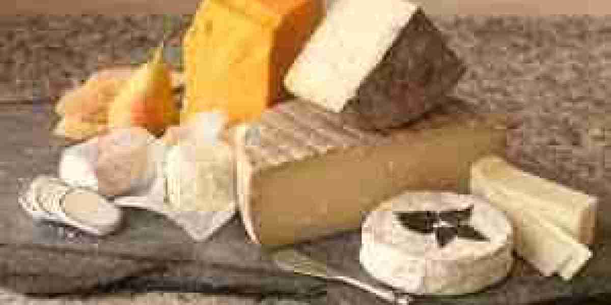 Vegan Cheese Market Trends Highlight Surge in Artisanal Plant-Based Cheese Varieties and Flavors